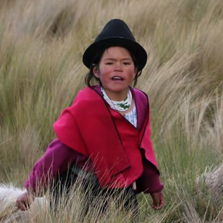 8fa3d4ca-8da6-4735-b9ac-458ccea39037 Shigra-Handtaschen | Nachhaltige Kunst aus Ecuador für moderne Frauen