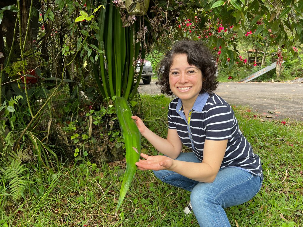 Shigra-Handtaschen | Nachhaltige Kunst aus Ecuador für moderne Frauen