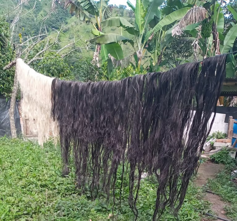 d10ee11f-82fa-40d3-9aa4-a8ab1b27f91e Shigra-Handtaschen | Nachhaltige Kunst aus Ecuador für moderne Frauen