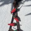 Shigra-Handtaschen | Nachhaltige Kunst aus Ecuador für moderne Frauen